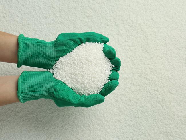 Woman holding pile of granular mineral fertilizer over grains, top view. Space for text. Picture: iStock