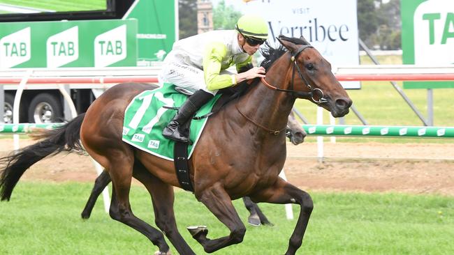 Margie's Boy, ridden by Jye McNeil, winning at Werribee last start. Picture: Brett Holburt/Racing Photos via Getty Images