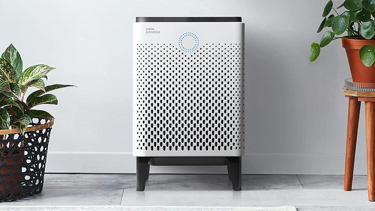 13 Best Air Purifiers of 2022 for Smoke, Dust & Allergies