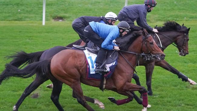 Aspetar, ridden by Damian Lane, Sir Dragonet (James Winks) and Thought Of That (John Allen) had a hitout at The Valley last Saturday. Picture: Getty Images