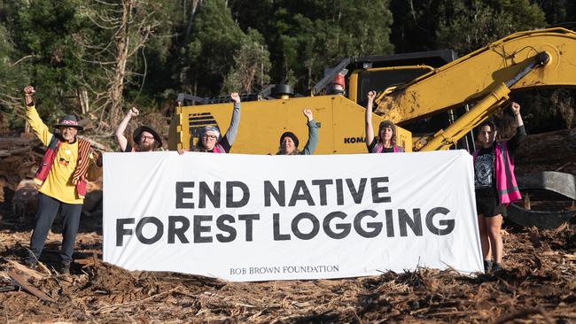 Jim Everett joined the Bob Brown Foundation protest in the Styx Valley and was arrested. Picture: Bob Brown Foundation.