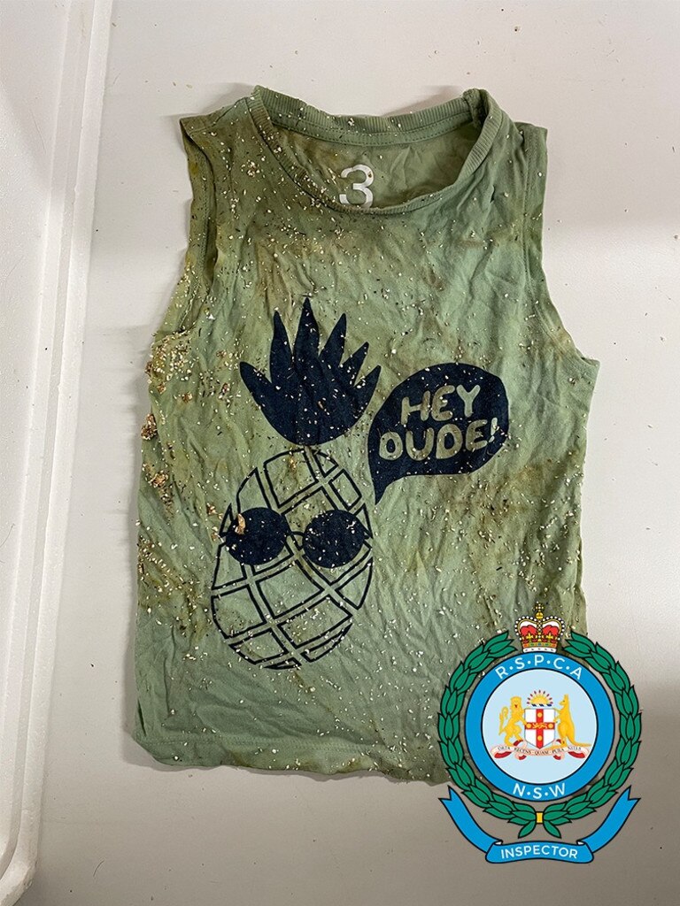 A green children's singlet with a pineapple print. Picture: RSPCA NSW