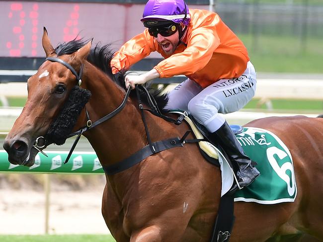 Miss Hipstar winning at Doomben. Picture: Trackside Photography