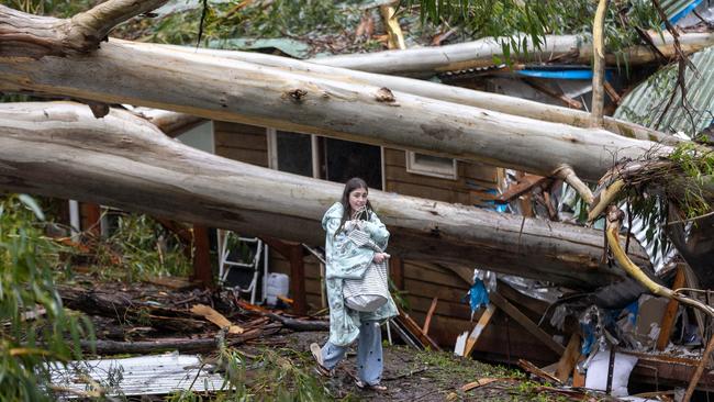 Residents in the Dandenongs are unlikely to see a repeat of last month’s carnage. Picture: David Geraghty