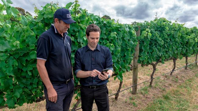 Tyson Lewis from the Mornington Peninsula Vignerons Association and Snap Send Solve founder Danny Gorog. Pic: Snap Send Solve