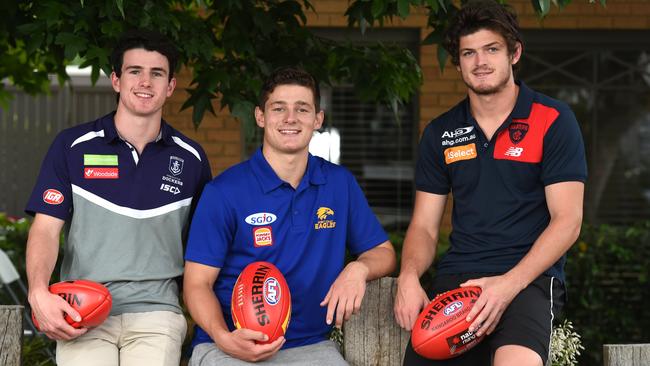 Brayshaw brothers Andrew, Hamish and Angus in their club colours. Picture: David Smith