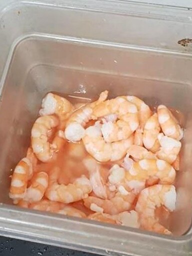 Prawns sits in water.