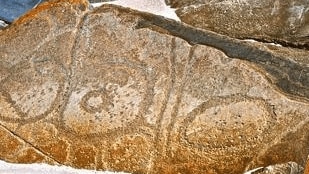 Petroglyphs at Sundown Point Site 9 in Tasmania's North West. Picture: Research Gate.