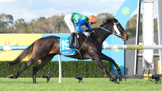Roadcone, ridden by Luke Cartwright, wins at Sandown Hillside on Saturday. Picture: Scott Barbour / Racing Photos