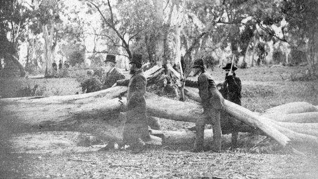 The spot where Ned Kelly was captured at Glenrowan. Picture: State Library of Victoria