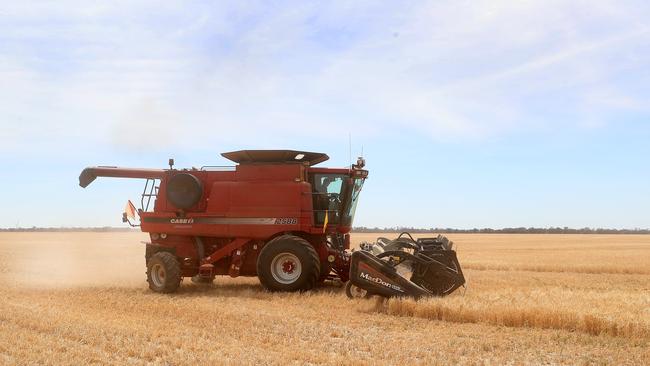 The Allan family harvest barley near Wycheproof. Picture: Yuri Kouzmin