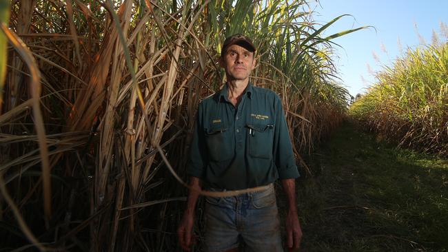 Bundaberg cane grower Brian Pressler opposes new restrictions imposed by the Queensland Labor government. Picture: Vanessa Hunter