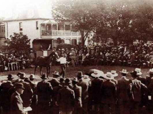 The homestead in about 1914.