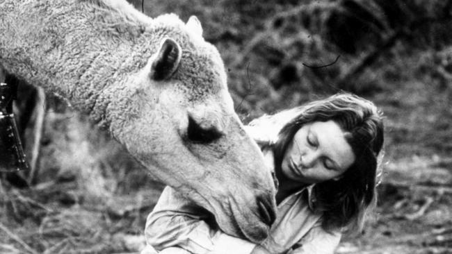 Robyn Davidson with one of her camels in 1977.