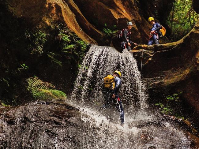 Get the adrenaline pumping with the Blue Mountains Adventure Company.