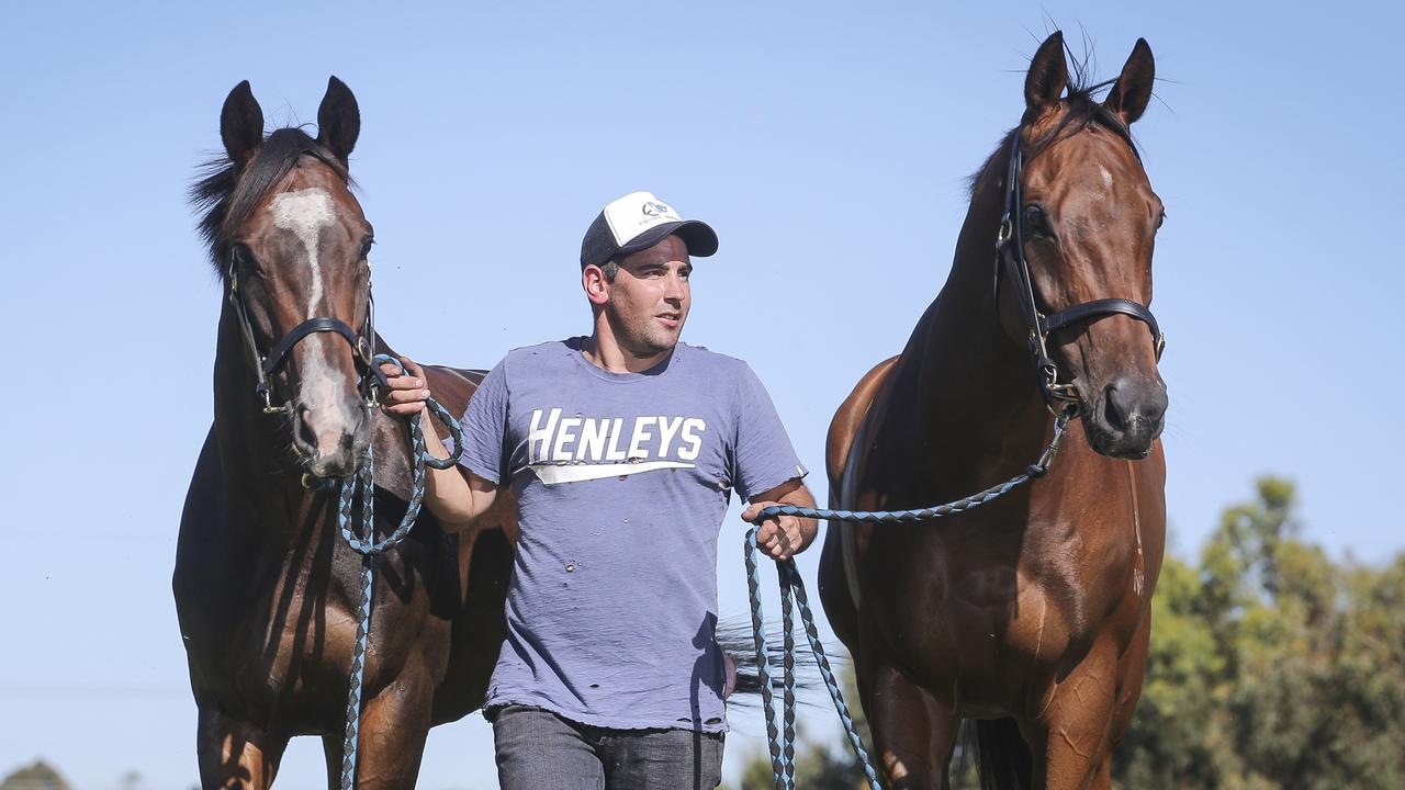 Horse trainer Gavin Bedggood with Balnarring Cup hopes
