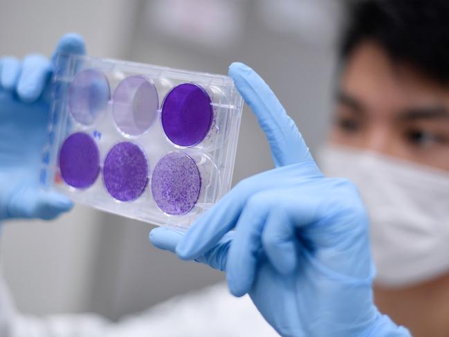 (FILES) In this file photo taken on March 26, 2020 A researcher works on virus replication in order to develop a vaccine against the coronavirus COVID-19, in Belo Horizonte, state of Minas Gerais, Brazil. - Brazil is in the forefront of vaccines for the new coronavirus, testing in large scale and preparing for the production of millions of dosis. On the other hand from Europe of China, the virus is expanding in the country which is second in the world in number of cases after the United States, an ideal situation to test the effectivity of a vaccine. (Photo by Douglas MAGNO / AFP)