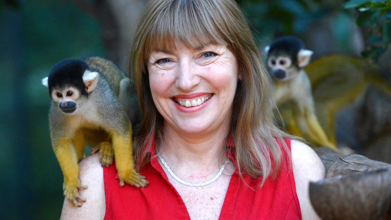 Adelaide Zoo in global hunt for new leader of the pack