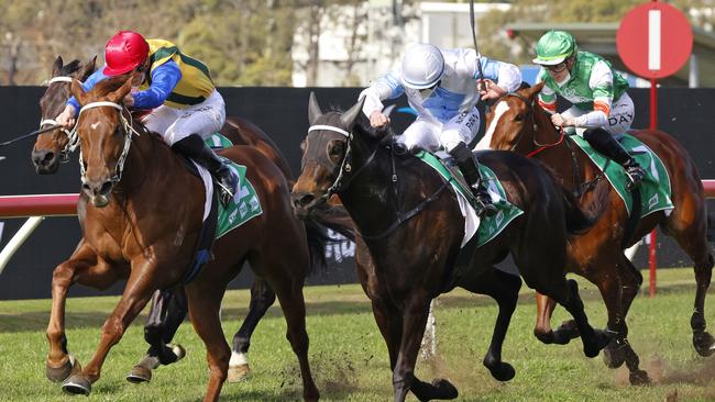 Dream Runner (red cap) looks hard to beat in the Country Classic. Picture: Getty Images