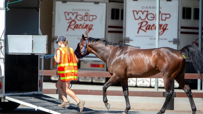 A float collects a single horse from Weir’s stables. Picture: Jay Town