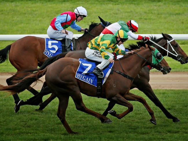 Recalculate holds (centre) gets the better of his rivals at Warrnambool last May. Picture: Colleen Petch