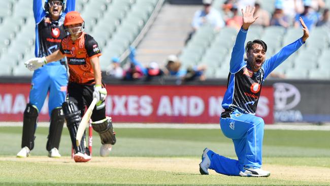 Rashid Khan has become a folk hero with Adelaide Strikers’ fans.