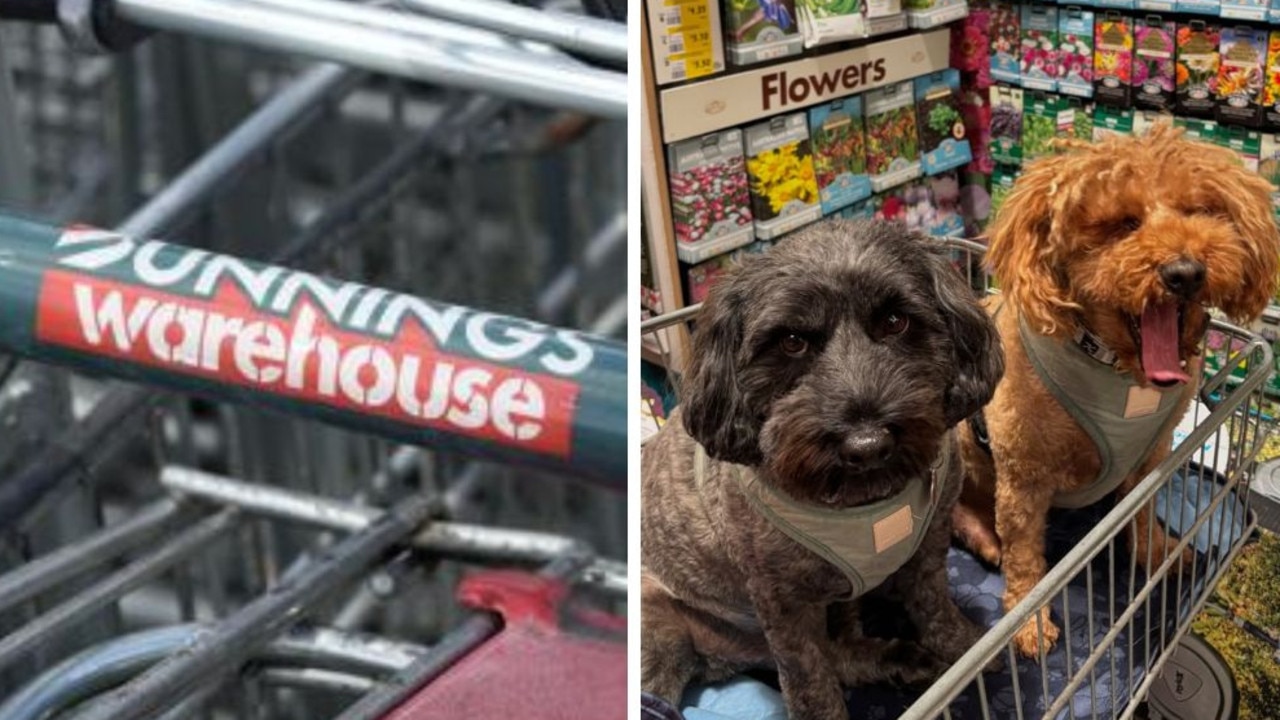 ‘Disturbing’: Star’s shock at Bunnings trend