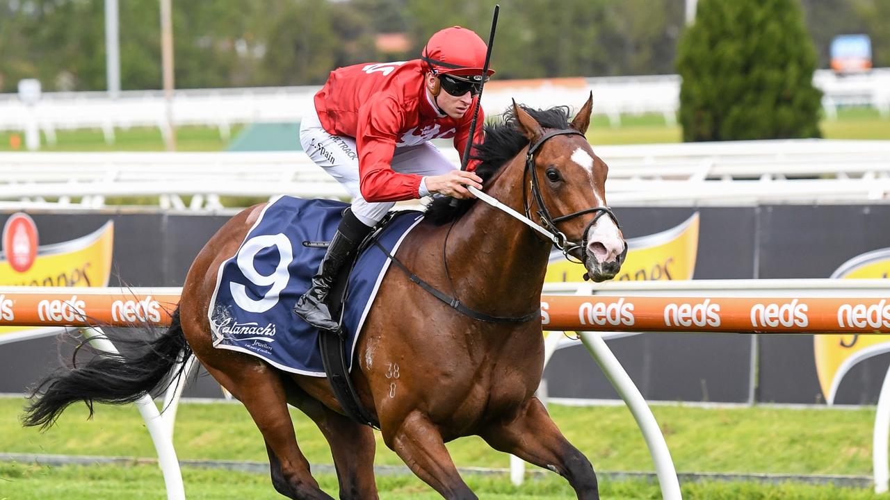 High Pressure To Suit Coolmore Stud Stakes Favourite Extreme Warrior ...