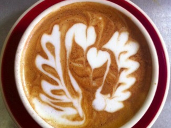 Awww, the swans are in love. Picture: Coffee Art School Australia.