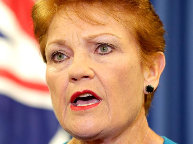 Pauline Hanson announces Raj Guruswamy and George Christiansen to run for the senate, One Nation Pauline Hanson presser, Brisbane City, on Wednesday April 13th - Photo Steve Pohlner