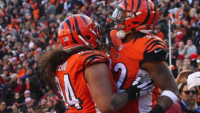 Domata Peko congratulates Jeremy Hill after scoring a touchdown.