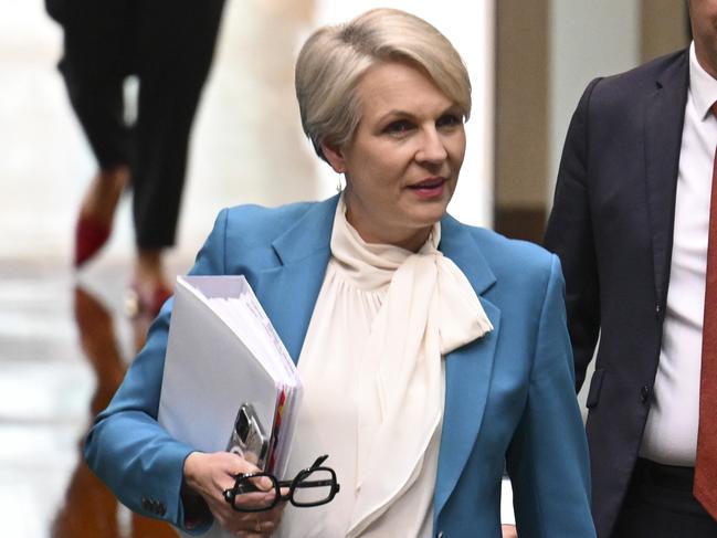 CANBERRA, Australia - NewsWire Photos - November 5, 2024: Minister for Skills and Training of Australia, Andrew Giles and Minister for the Environment and Water Tanya Plibersek during Question Time at Parliament House in Canberra. Picture: NewsWire / Martin Ollman