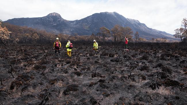 Firefighters standing in burnt buttongrass. Picture: WARREN FREY/TASMANIA FIRE SERVICE