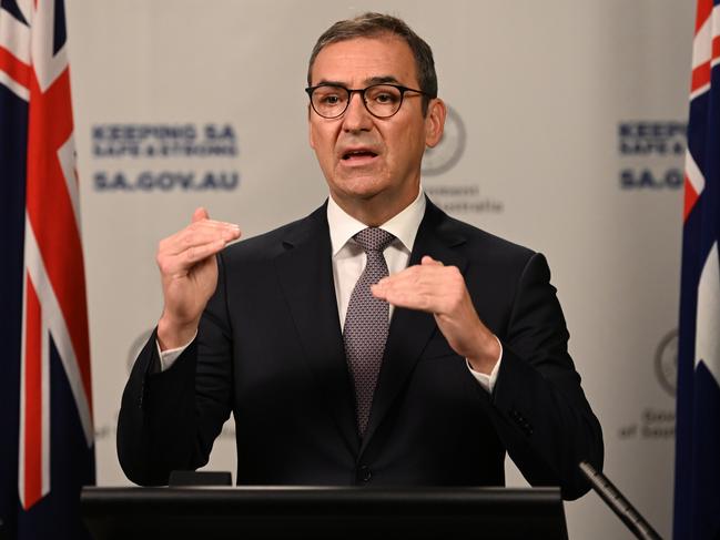 South Australia Premier Steven Marshall speaks to reporters. Picture: NCA NewsWire / Naomi Jellicoe