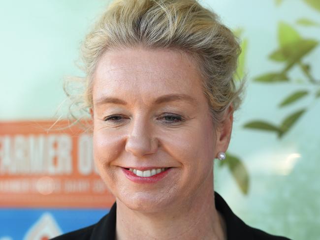 Bridget McKenzie will remain leader of the Nationals Party in the Senate.