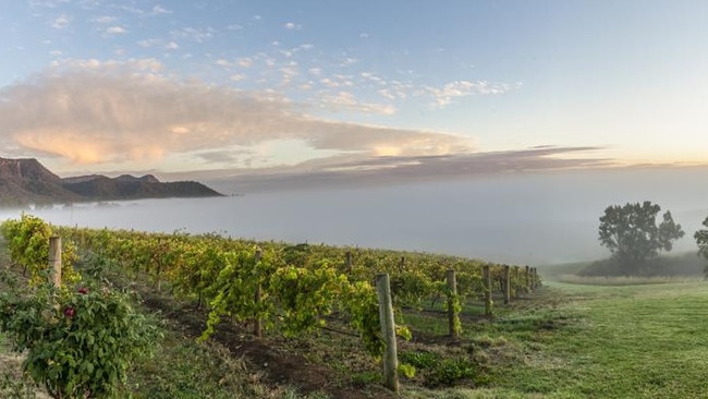 View of Audrey Wilkinson Wines, Hunter Valley. Picture: Destination NSW