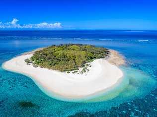 Preparations are being made to reopen the Southern Great Barrier Reef's Wilson Island to tourists.