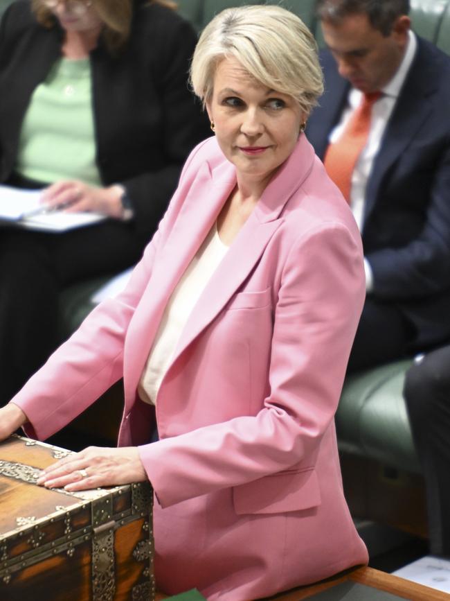 Environment Minister Tanya Plibersek. Picture: Martin Ollman/NewsWire