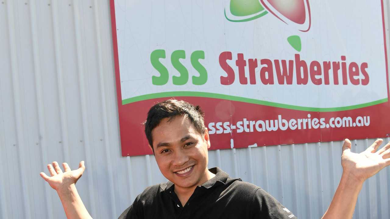 SWEET SATURDAY: Thanh Dang says it'll be fun for the whole family at the SSS Strawberries Bundaberg Strawberry Festival. Picture: Mike Knott BUN130918DANG5