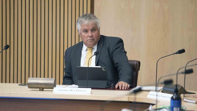 Rex Patrick, in a parliamentary committee hearing. Picture: Gary Ramage