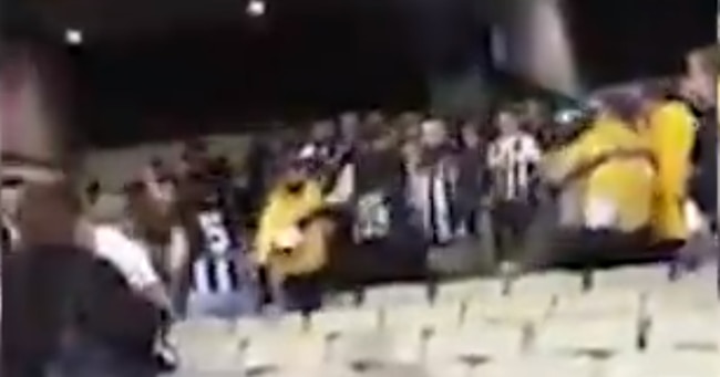 Fans brawl at the MCG.