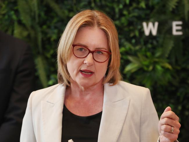 MELBOURNE, AUSTRALIA- NewsWire Photos JANUARY 23, 2025: Victorian Premier Jacinta Allan holds a press conference at a housing development site in Werribee to talk about local road upgrades.  NewsWire/ David Crosling