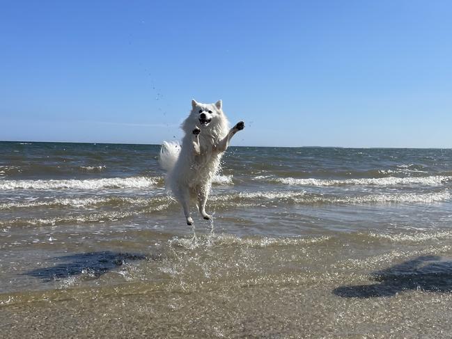 Summer, oh what a feeling! Picture: Jacqui Garnsworthy, Newport.