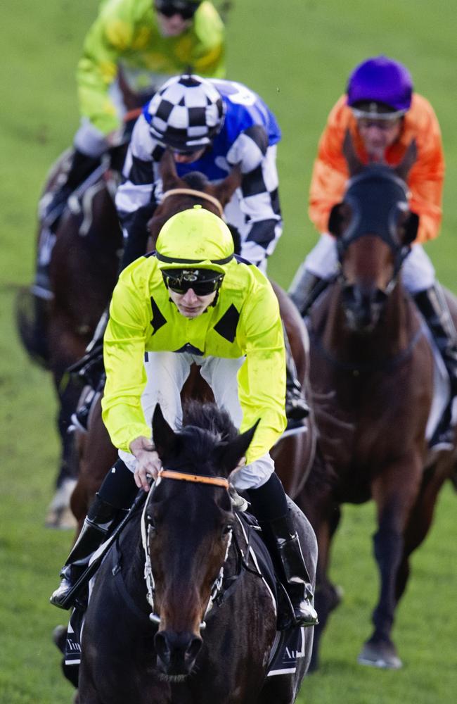 Queensland bound Danish Twist makes it four wins in a row at Randwick on Saturday. Picture: Jenny Evans