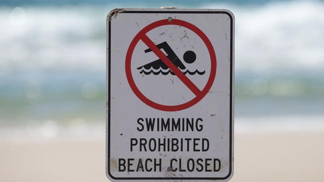 Fatal shark attack at Byron Bay reignites debate about the use of shark ...