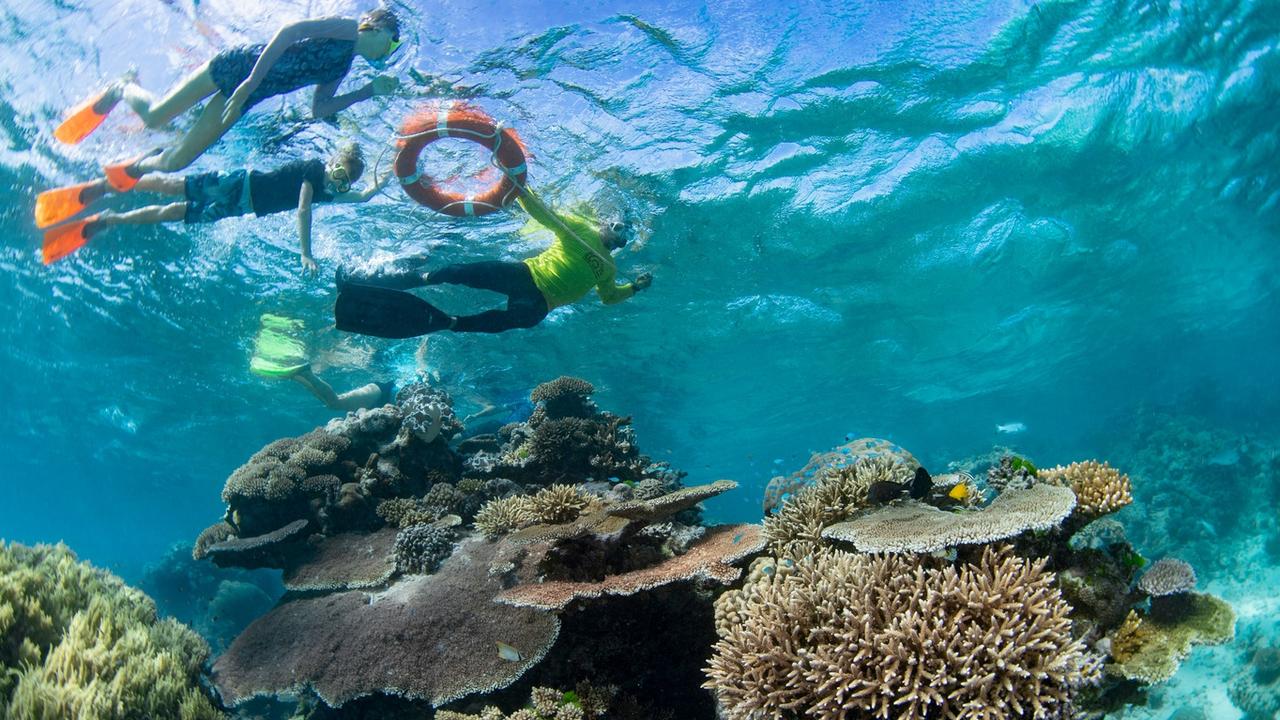 Cairns Reef: GBR hard coral cover increase in 2021 | The Cairns Post