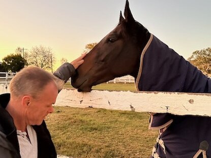 Part-owner Anthony Mitchell with I Am Me at Gooree Stud. Picture: Supplied