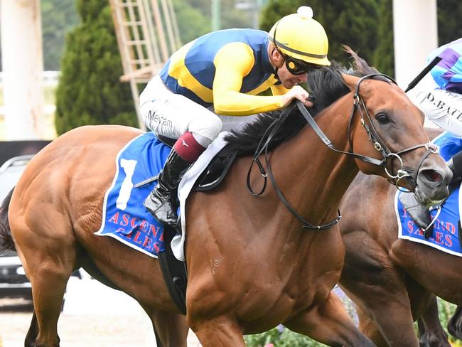 Strawberry Rock (IRE) ridden by Ben Melham wins the Ascend Sales Trophies Handicap at Moonee Valley Racecourse on March 23, 2024 in Moonee Ponds, Australia. (Photo by Brett Holburt/Racing Photos via Getty Images)