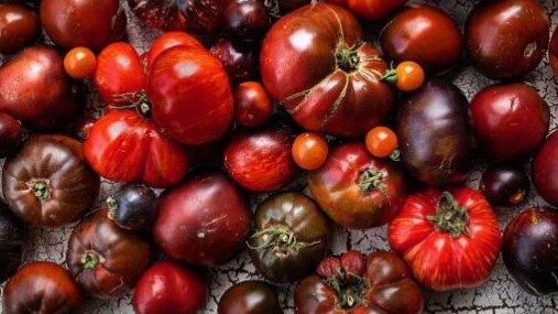 Daniels run heirloom tomatoes going to be a hot ticket item over summer. Picture: Instagram/@daniels_run_heirloom_tomatoes