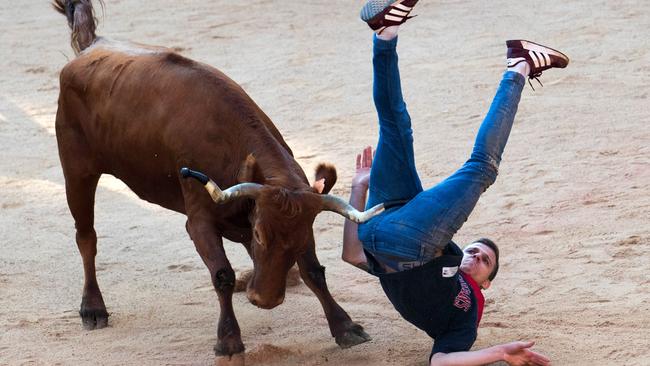 A reveller is tossed by a heifer after the fifth bull run of the San Fermin festival. Picture: AFP